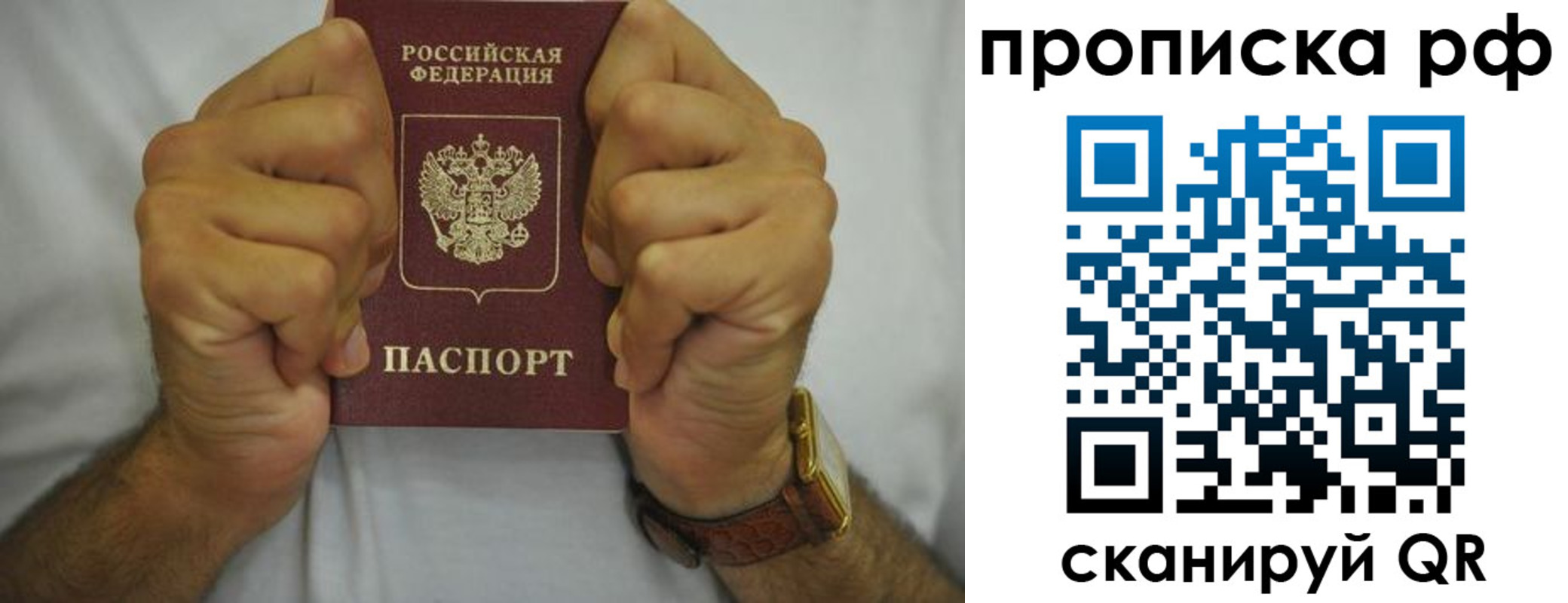 прописка паспорт в Юрьев-Польском
