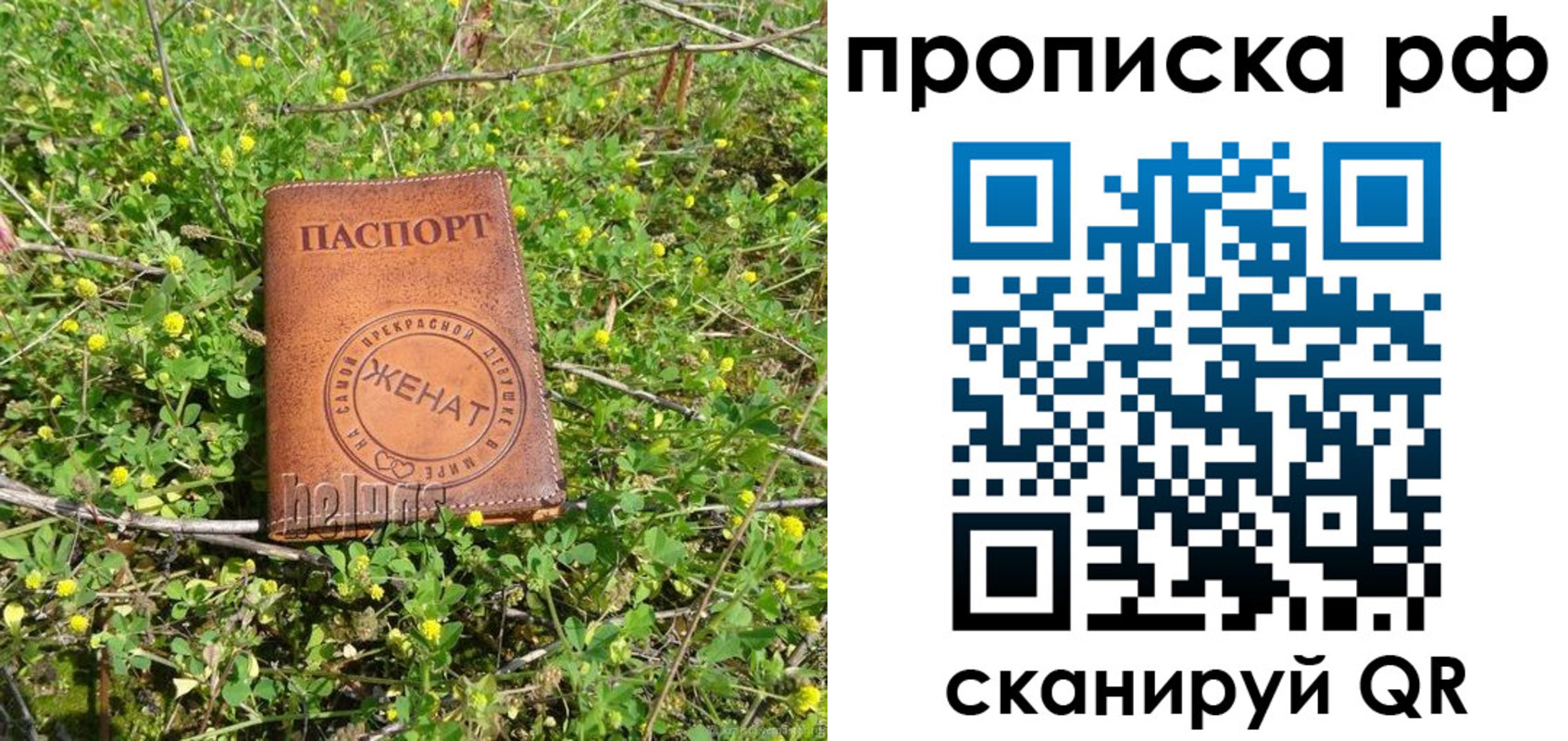 прописка паспорт в Юрьев-Польском